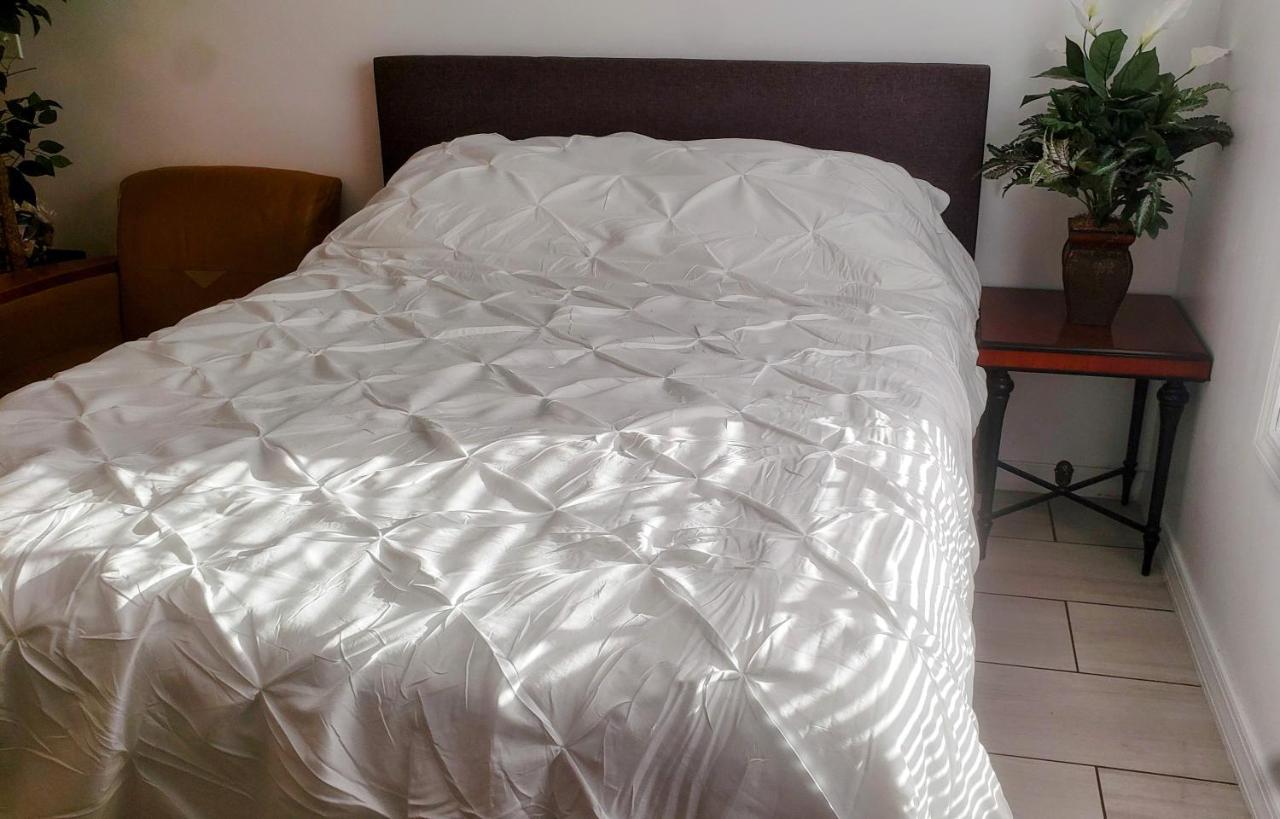 Stylish Suite Tampa Minutes To Hard Rock Casino Mango Ngoại thất bức ảnh