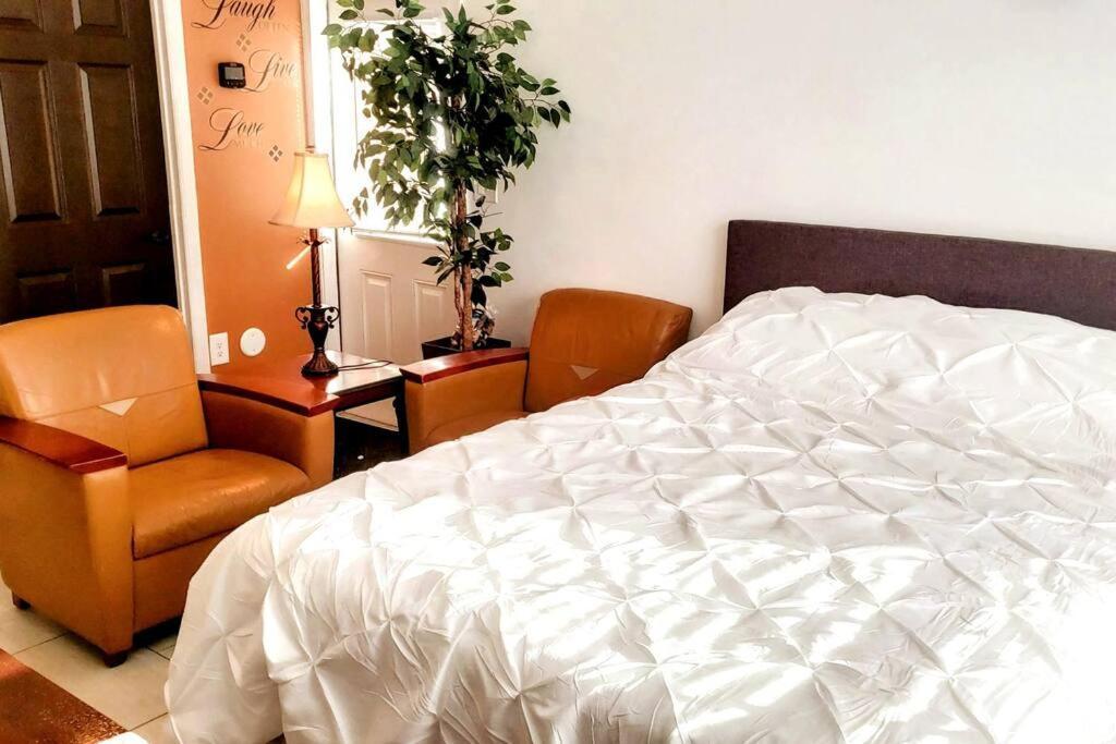 Stylish Suite Tampa Minutes To Hard Rock Casino Mango Ngoại thất bức ảnh